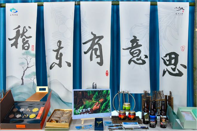 态协同”成就“两山”转化新模式CQ9电子有限公司稽东香榧“三(图1)