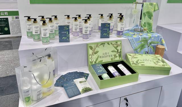 粤北山野“小辛香”如何迈向“大市场”CQ9电子app一颗山苍子的新生：(图5)